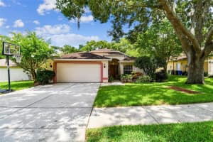 24308 TWIN LAKE DR, LAND O LAKES, FL 34639 Sold 10/03/22