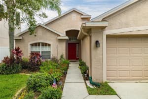 12239 BISHOPSFORD DR, TAMPA, FL 33626 Sold 08/22/22