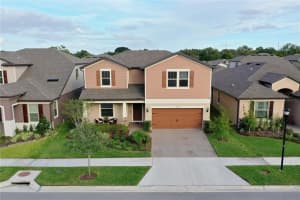 18929 BIRCHWOOD GROVES DR, LUTZ, FL 33558 Sold 08/19/22