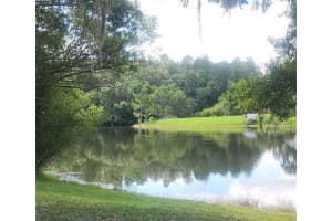 4154 PARKWAY BLVD, LAND O LAKES, FL 34639 Sold 09/08/22