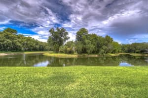 15005 LAKE EMERALD BLVD, TAMPA, FL 33618 Sold 06/09/23