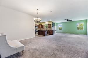 1317 PASADENA BLOOM LN, RUSKIN, FL 33570 Sold 08/11/22
