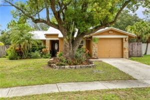 7348 MONTEREY BOULEVARD, TAMPA, FL 33625 Sold 08/25/23
