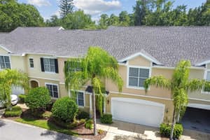 3519 HEARDS FERRY DR, TAMPA, FL 33618 Sold 10/27/22