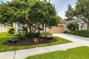 3311 GOLDEN EAGLE DR, LAND O LAKES, FL 34639 Sold 09/12/22