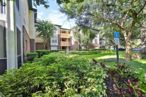10024 STRAFFORD OAK CT #807, TAMPA, FL 33624 Sold 08/29/22