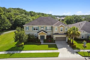 26858 EVERGREEN CHASE DR, WESLEY CHAPEL, FL 33544 Sold 09/09/22