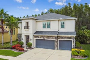 15217 WIND WHISPER DR, ODESSA, FL 33556 Sold 09/22/22