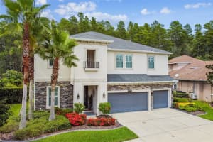 15217 WIND WHISPER DR, ODESSA, FL 33556 Sold 09/22/22