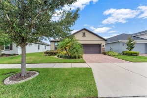 10415 ALCON BLUE DR, RIVERVIEW, FL 33578 Sold 03/08/23