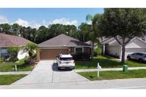 30623 BIRDHOUSE DR, WESLEY CHAPEL, FL 33545 Sold 09/30/22