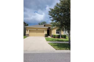 11417 WARREN OAKS PL, RIVERVIEW, FL 33578 Sold 08/24/22