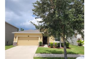 11417 WARREN OAKS PL, RIVERVIEW, FL 33578 Sold 08/24/22