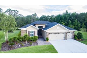 27216 HAWKS NEST CIR, WESLEY CHAPEL, FL 33544 Sold 09/06/22