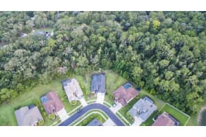 27216 HAWKS NEST CIR, WESLEY CHAPEL, FL 33544 Sold 09/06/22