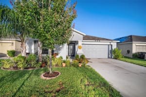 920 ZONE TAILED HAWK PL, RUSKIN, FL 33570 Sold 09/09/22