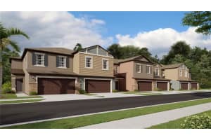 2107 CERULEAN SKY WAY, LUTZ, FL 33558 Sold 01/11/23