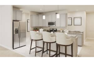 2107 CERULEAN SKY WAY, LUTZ, FL 33558 Sold 01/11/23