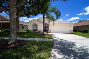 6711 THACKSTON DR, RIVERVIEW, FL 33578 Sold 09/09/22