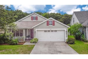 6256 CRICKETHOLLOW DR, RIVERVIEW, FL 33578 Sold 08/31/22