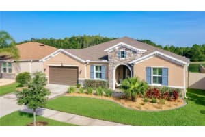 31485 Driscoll Dr, Wesley Chapel, FL 33543, Sold 09/07/22