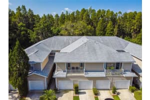 22134 Little Lagoon Ct, Lutz, FL 33549, Sold 09/09/22