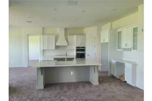3409 Lake Palermo Rd, Wimauma, FL 33598, Sold 08/02/22