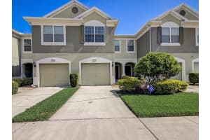 10238 Red Currant Ct, Riverview, FL 33578, Sold 09/19/22