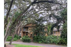 14201 Shadow Moss Ln, Tampa, FL 33613, Sold 09/09/22