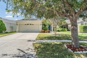 8141 CANTERBURY LAKE BLVD, TAMPA, FL 33619 Sold 11/14/22