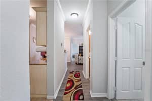 5000 CULBREATH KEY WAY #4205, TAMPA, FL 33611 Sold 12/21/22