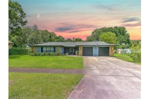 18014 LINDAWOODS ST, ODESSA, FL 33556 Sold 02/24/23