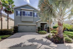 19249 EARLY VIOLET DRIVE, TAMPA, FL 33647 Sold 03/11/24