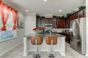 19249 EARLY VIOLET DRIVE, TAMPA, FL 33647 Sold 03/11/24