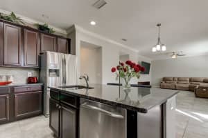 19249 EARLY VIOLET DRIVE, TAMPA, FL 33647 Sold 03/11/24