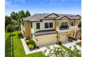 11502 CROWNED SPARROW LN, TAMPA, FL 33626 Sold 12/28/22