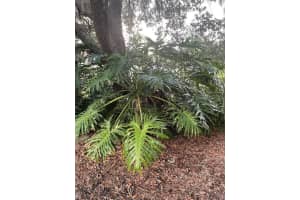 4748 FOX HUNT DR #955, WESLEY CHAPEL, FL 33543 Sold 03/06/23