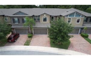 17263 OLD TOBACCO RD, LUTZ, FL 33558 Sold 03/16/23