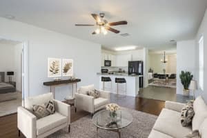 12113 FAWN BRINDLE ST, RIVERVIEW, FL 33578 Sold 10/28/22