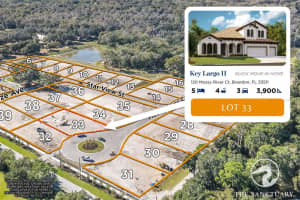 120 MOSSY RIVER CT, BRANDON, FL 33511 Sold 08/09/23