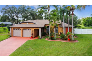 7224 Staghorn Dr, Spring Hill, FL 34607, Sold 09/15/22