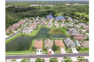3554 DIAMOND FALLS CIR, LAND O LAKES, FL 34638 Sold 01/12/23