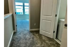 18673 NOBLE CASPIAN DR, LUTZ, FL 33558 Sold 10/14/22