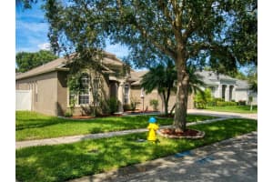 4310 ORANGE RIDGE COURT, VALRICO, FL 33596 Sold 12/06/23