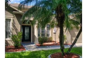 4310 ORANGE RIDGE COURT, VALRICO, FL 33596 Sold 12/06/23