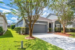 11121 CREEK HAVEN DR, RIVERVIEW, FL 33569 Sold 11/30/22