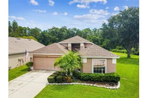 13405 STAGHORN RD, TAMPA, FL 33626 Sold 10/25/22