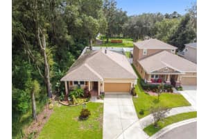 545 WESTCHESTER HILLS LN, VALRICO, FL 33594 Sold 11/01/22