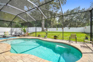 545 WESTCHESTER HILLS LN, VALRICO, FL 33594 Sold 11/01/22