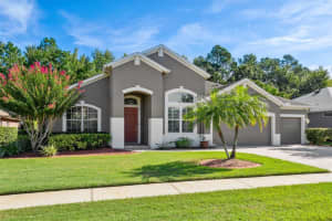 16104 IVY LAKE DR, ODESSA, FL 33556 Sold 09/30/22